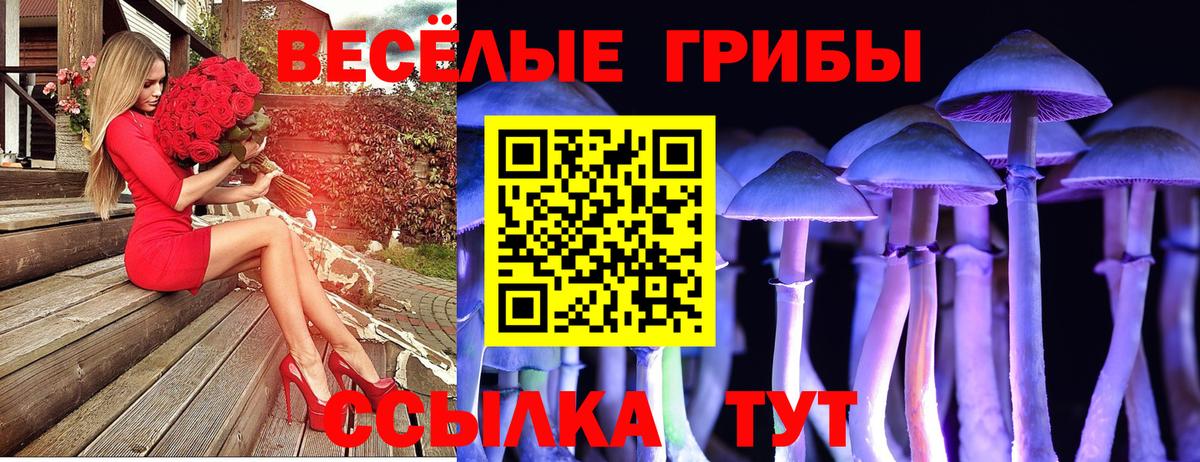 Псилоцибиновые грибы GOLDEN TEACHER  Вход с VPN  Камышин 