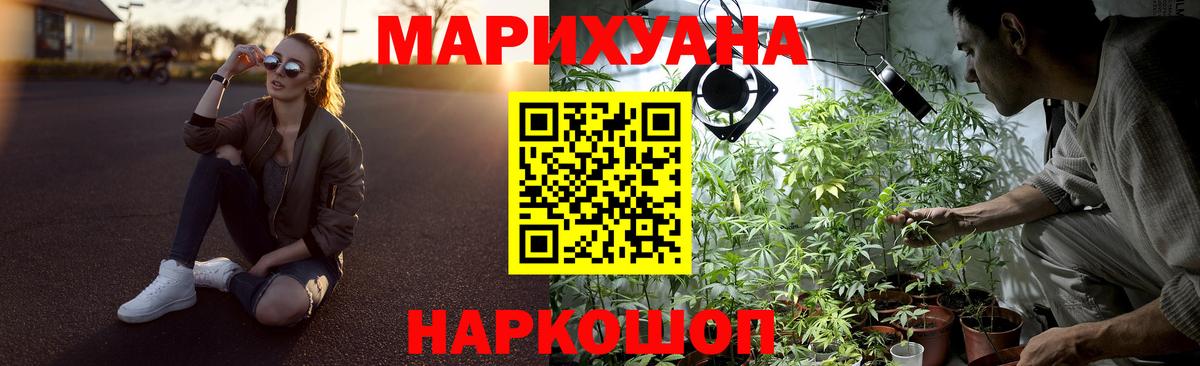 Бошки марихуана планчик  Вход с VPN  Камышин  Конопля конопля  Шишки марихуана Bruce Banner  Каннабис Amnesia 