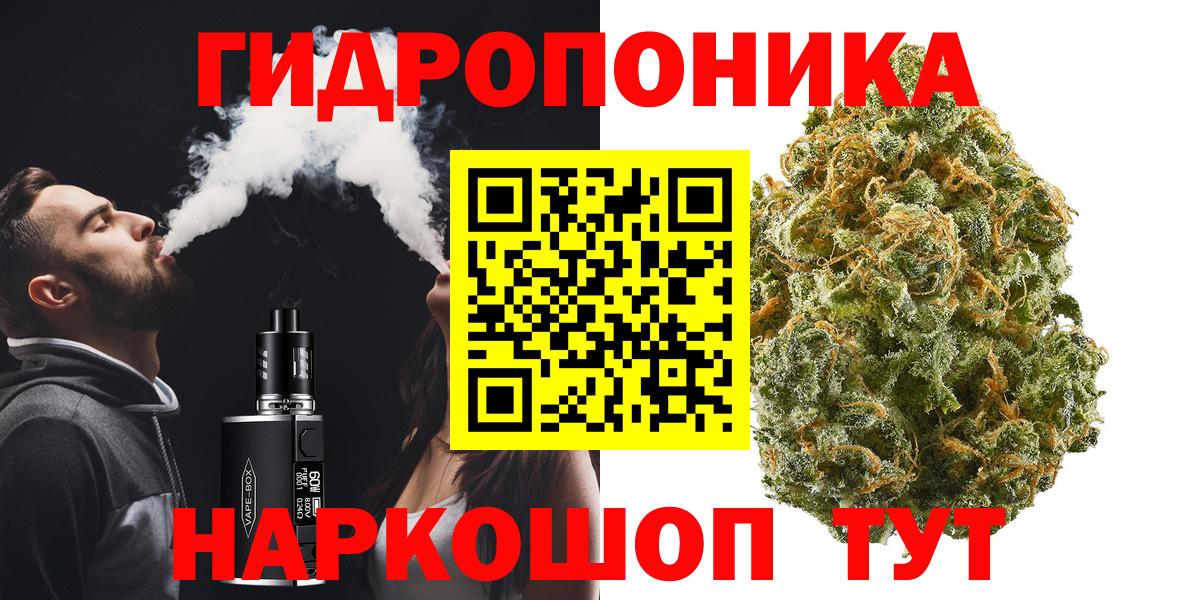 Бошки Шишки ГИДРОПОН Камышин